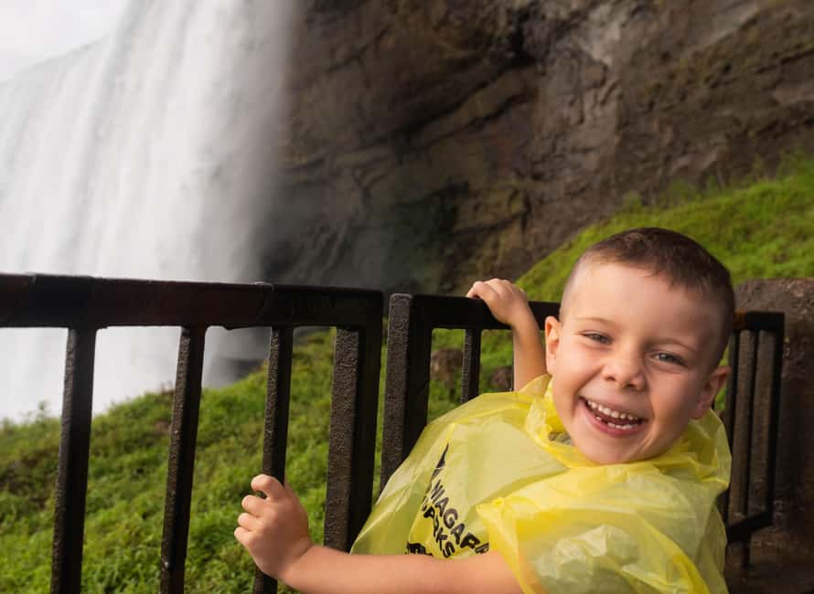 Toronto: Niagara Falls Bus Tour with Maple Tasting and NOTL - The Niagara Whirlpool and the short scenic stops