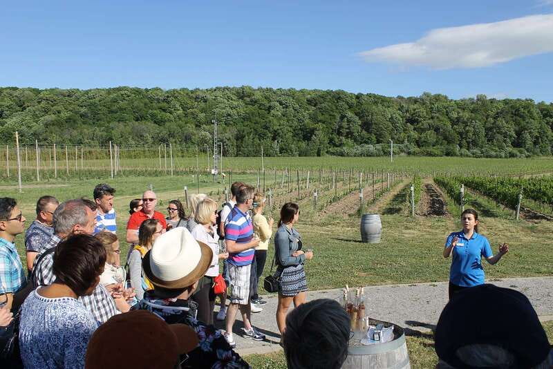 Toronto: Niagara Falls Day Tour with Boat Option - Niagara-on-the-Lake for a quieter hour