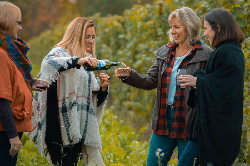 Toronto: Niagara Wineries Tasting Tour & Optional Lunch - The Toronto departure and the long road south