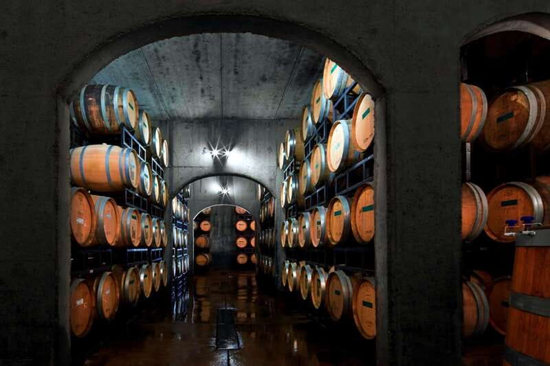 Toronto: Niagara Wineries Tasting Tour & Optional Lunch - Three choices, two to four wineries, and optional lunch