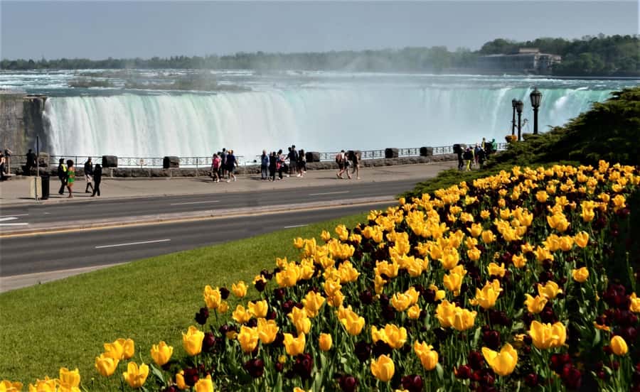 Toronto: Small-Group Niagara Falls Day Trip - Getting your first look at Niagara Falls