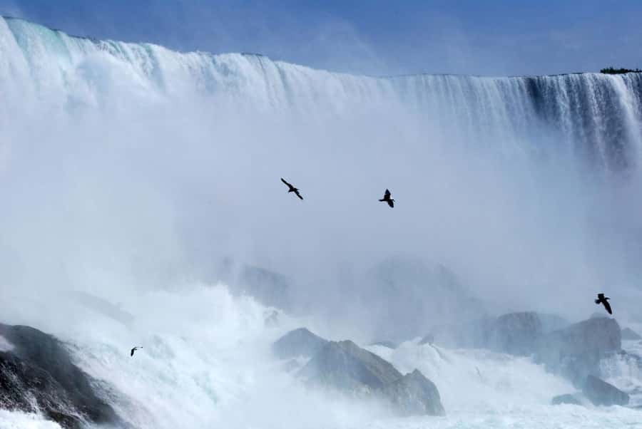 Toronto: Small-Group Niagara Falls Day Trip - One hour in Niagara-on-the-Lake