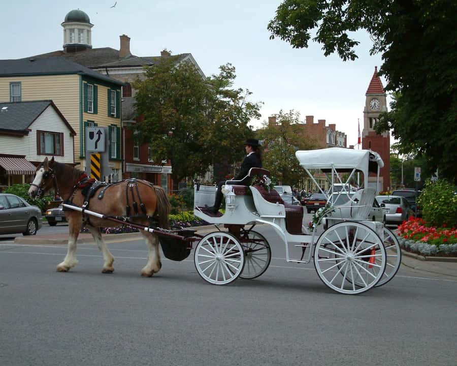 Toronto: Small-Group Niagara Falls Day Trip - What the $151 price really covers