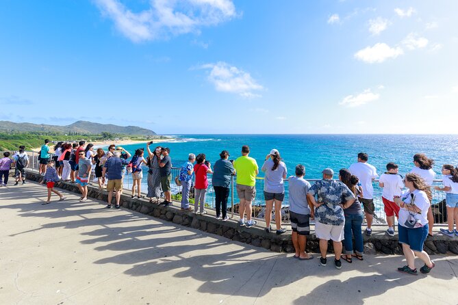 Tour of North Shore & Waimea Waterfall - What the $154 price really buys you