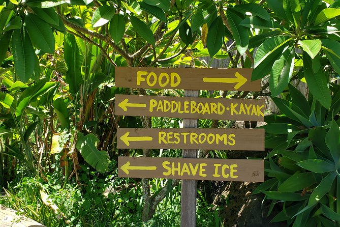 Tour of North Shore & Waimea Waterfall - Makapu’u views, Waimanalo, and the windward side