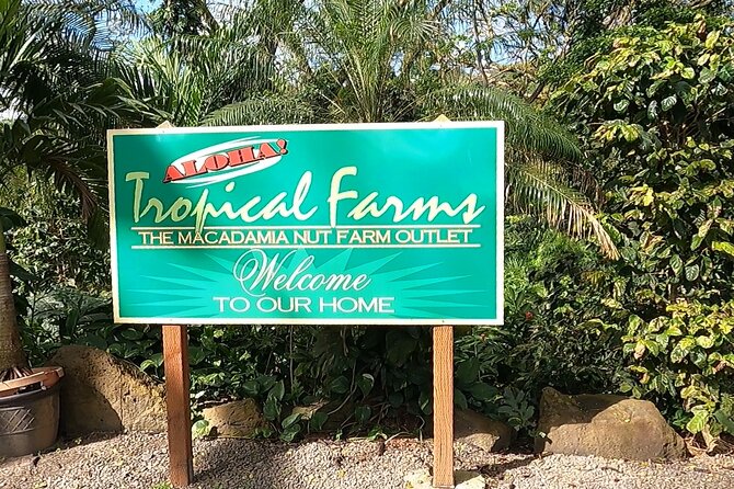 Tour of North Shore & Waimea Waterfall - Dole Plantation, without the full plantation visit