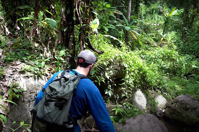 Trek to a Jungle Waterfall - Starting at 8Adventures Camp