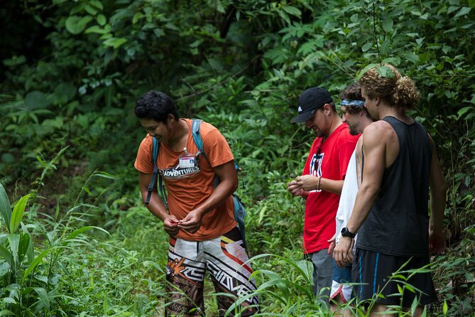 Trek to a Jungle Waterfall - Walking the 1.6-kilometre jungle route