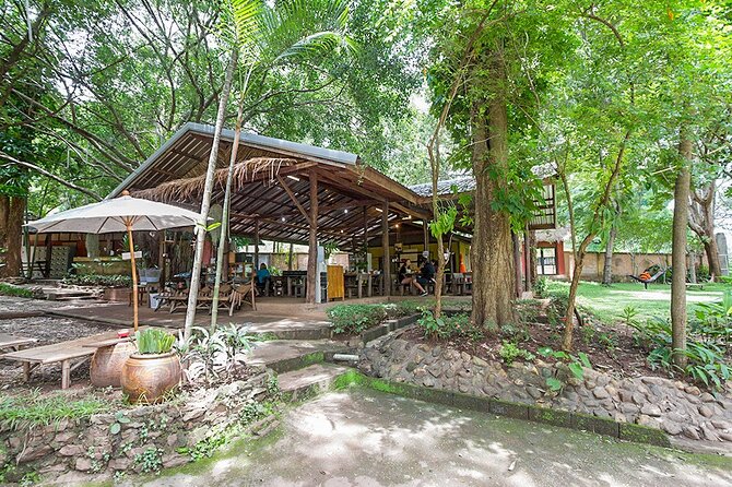 Trek to a Jungle Waterfall - Who will enjoy this Chiang Mai outing most