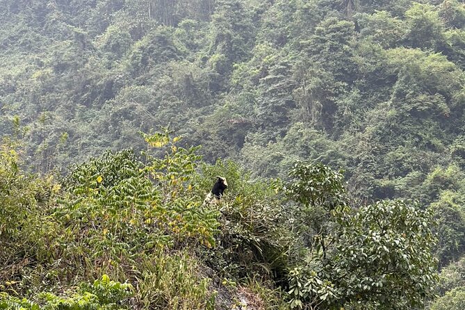 Trekking Ban Gioc Waterfall to Hidden Village on Unique Route - Nguom Ngao Cave and its limestone formations