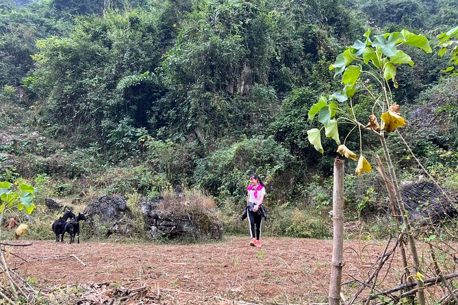 Trekking Ban Gioc Waterfall to Hidden Village on Unique Route - The first evening and included meals