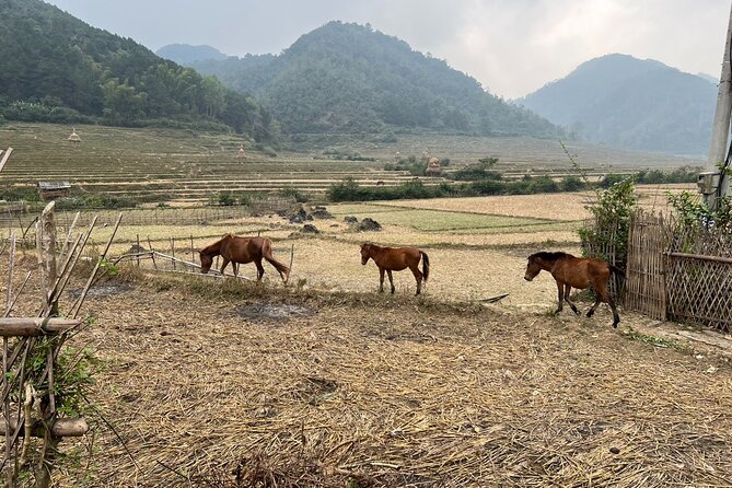 Trekking Ban Gioc Waterfall to Hidden Village on Unique Route - Ban Gioc Waterfall and the border setting