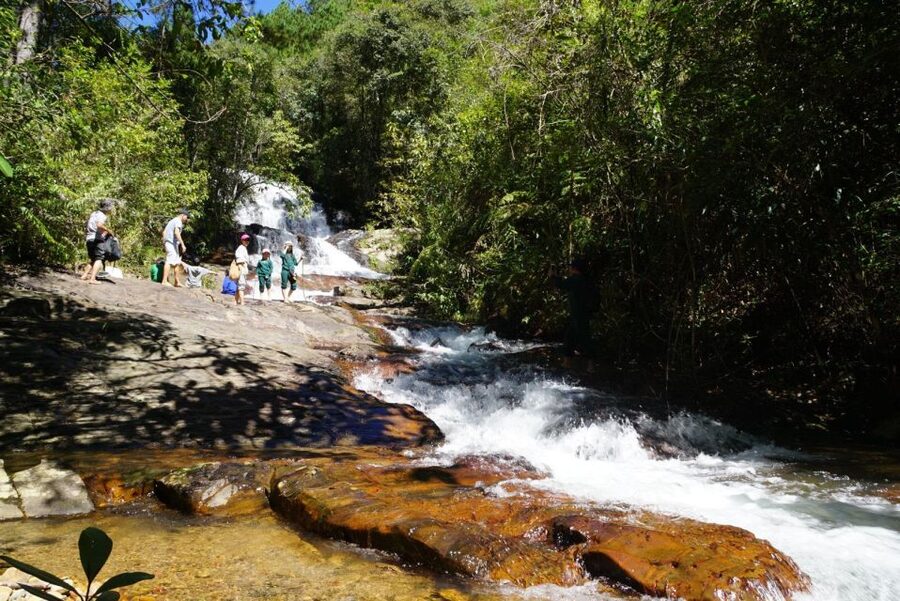 Trekking to Hidden Waterfall & Sturgeon Farm for dog-lovers - Key points to know before you book