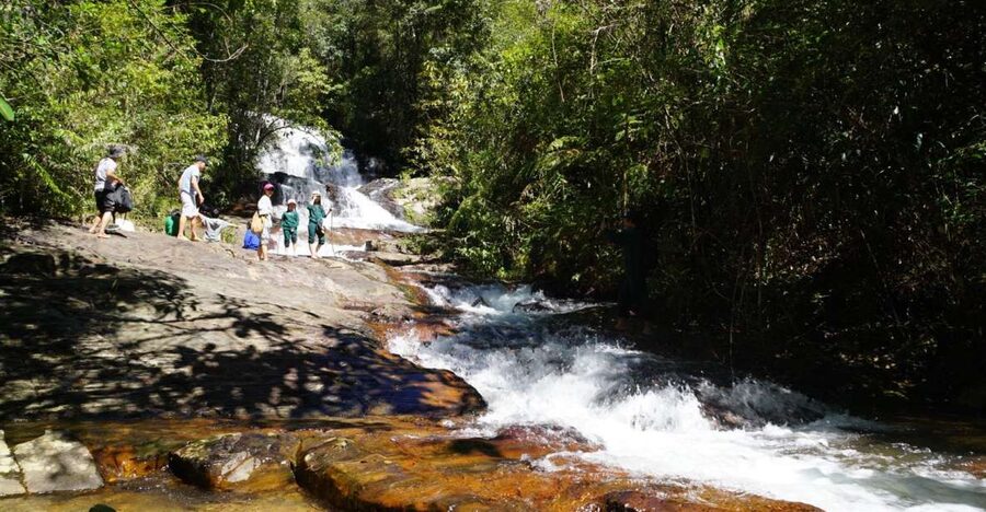 Trekking to Hidden Waterfall & Sturgeon Farm for dog-lovers - Why this walk feels different from a standard Dalat tour