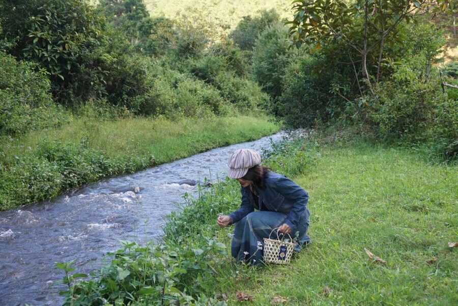 Trekking to Hidden Waterfall & Sturgeon Farm for dog-lovers - Starting at Twin Beans Farm in Da Sar