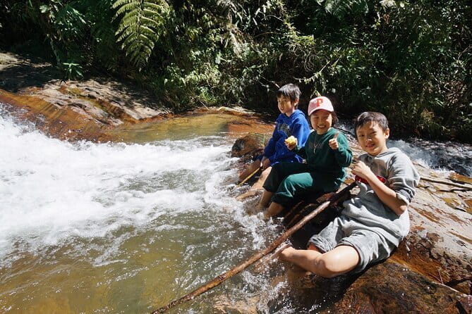 Trekking Tour to Hidden Waterfall & Sturgeon Farm for dog-lovers - What the $9.89 price really covers