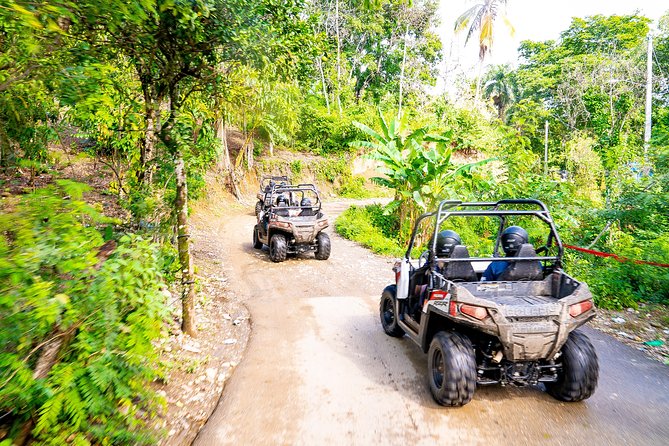 Triple fun! Monkeyland + Damajagua Waterfalls + Buggies from Puerto Plata - Riding out in the open-air safari truck