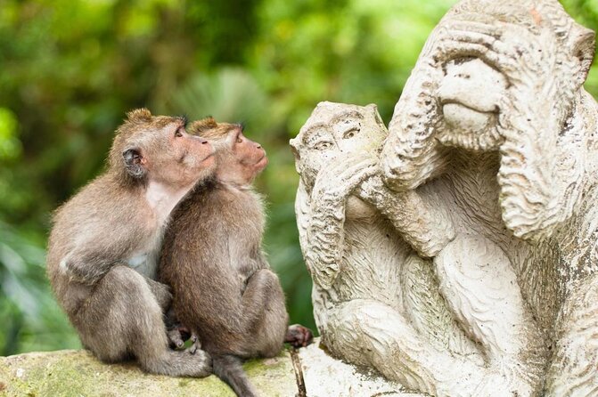 Ubud Day Tour: Sacred Monkey Forest, Tegenungan Waterfall, Rice Terrace - A private road to Ubud from Kuta
