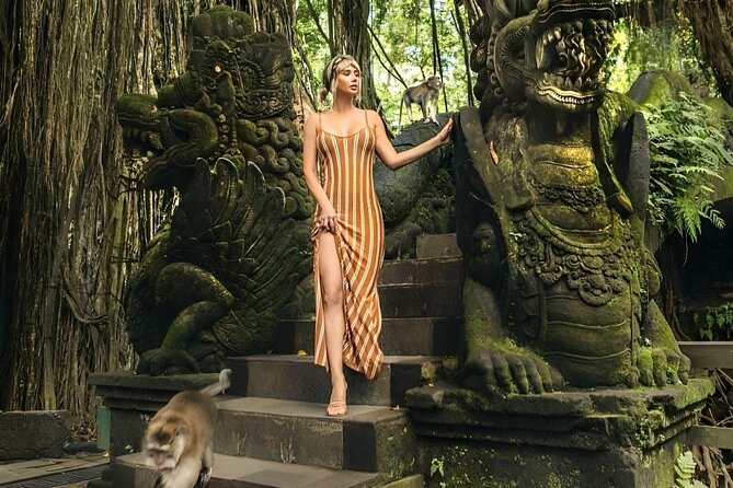 Ubud Day Tour: Sacred Monkey Forest, Tegenungan Waterfall, Rice Terrace - Tegalalang Rice Terrace and the price of the view