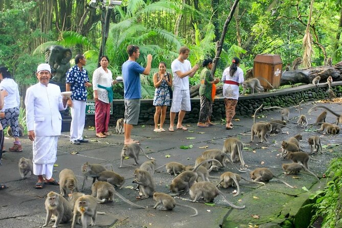 Ubud Day Tour: Sacred Monkey Forest, Tegenungan Waterfall, Rice Terrace - What the $24 price really covers