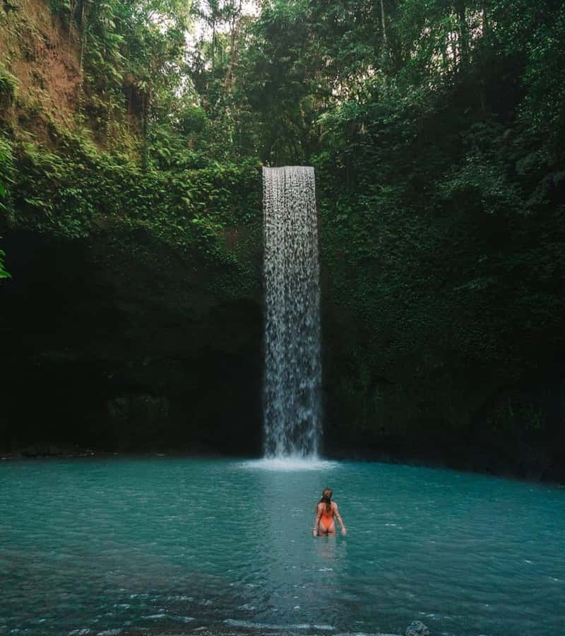 Ubud: Full-Day Rice Terrace, Monkey Forest & Waterfall - Tegalalang Rice Terrace and the work behind the view