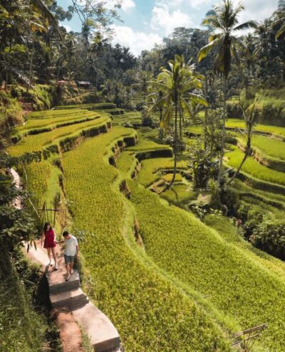 Ubud: Full-Day Rice Terrace, Monkey Forest & Waterfall