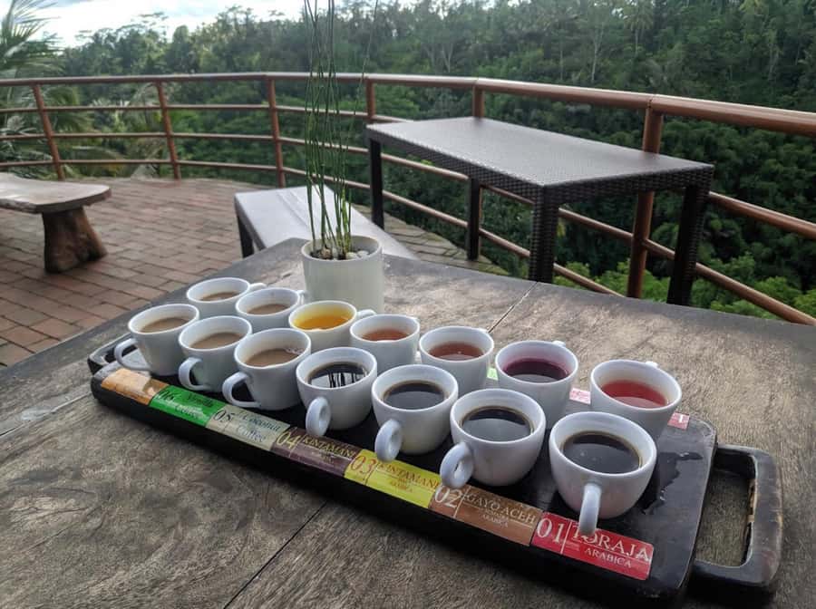 Ubud: Full-Day Rice Terrace, Monkey Forest & Waterfall - Tibumana Waterfall, a cooler finish