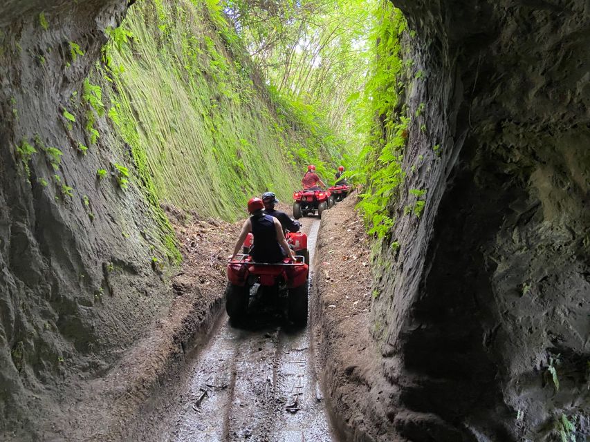 Ubud: Gorilla Face Quad Bike, Jungle Swing, Waterfall & Meal - Lunch, showers, and the useful finish