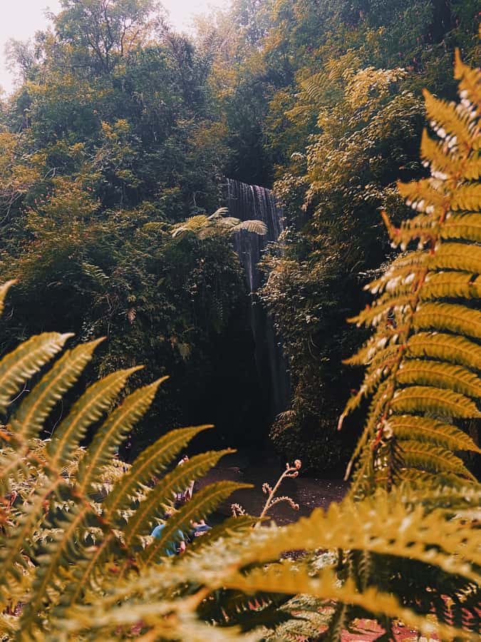 Ubud: Gorilla Face Quad Bike, Jungle Swing, Waterfall & Meal - Guides, transport, and the human side of the day
