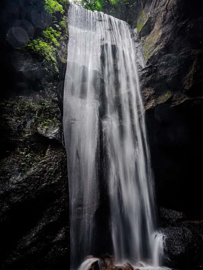 Ubud: Hidden Gems and Waterfalls Private Tour - Should you book it?