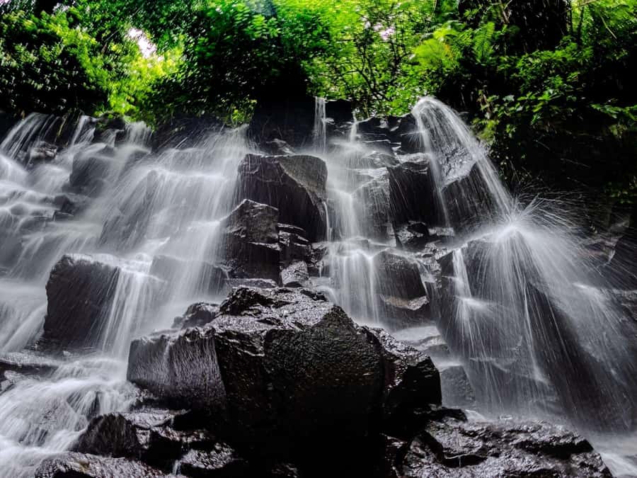 Ubud: Hidden Gems and Waterfalls Private Tour - Tegallalang rice terraces beyond the photo stop