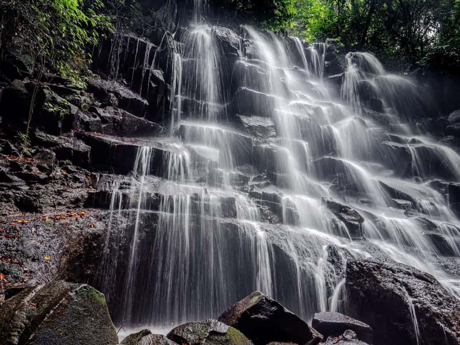 Ubud: Hidden Gems and Waterfalls Private Tour - A plantation stop with coffee, tea, and unfamiliar fruit