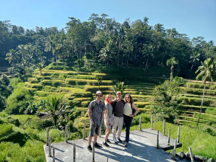 Ubud: Hidden Gems and Waterfalls Private Tour - Lunch, Mount Batur views, and the long version of the day
