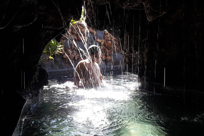 Ubud Hot Springs and Waterfall Private Guided Tour - The early Ubud stops: monkeys, swings, and rice terraces