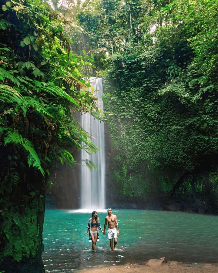 Ubud: Private Scenic Waterfalls and Rice Terraces Tour - At a glance