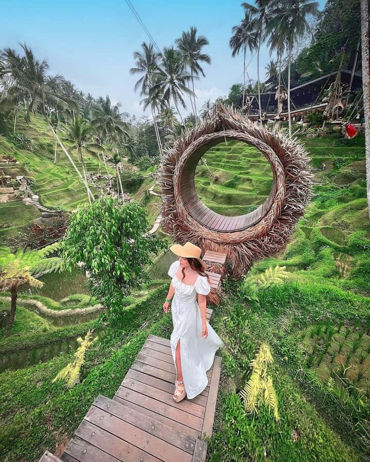 Ubud: Private Scenic Waterfalls and Rice Terraces Tour - Why the guide matters more than the vehicle