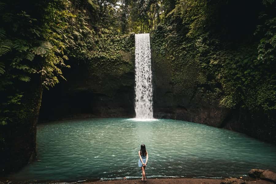 Ubud: Rice Terrace, Holy Water Temple & Waterfalls Trek Tour - Key points to know before booking