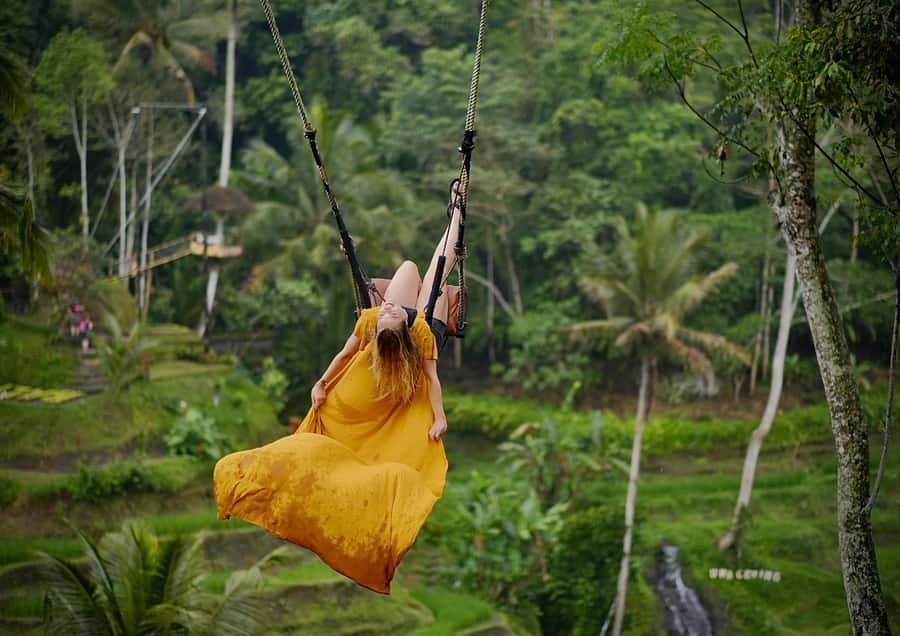 Ubud: Rice Terrace, Holy Water Temple & Waterfalls Trek Tour - Who should book this Ubud day trip?