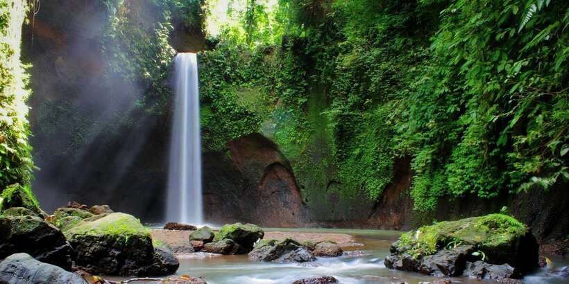 Ubud: Rice Terrace, Holy Water Temple & Waterfalls Trek Tour - Tibumana Waterfall: the best chance for a swim