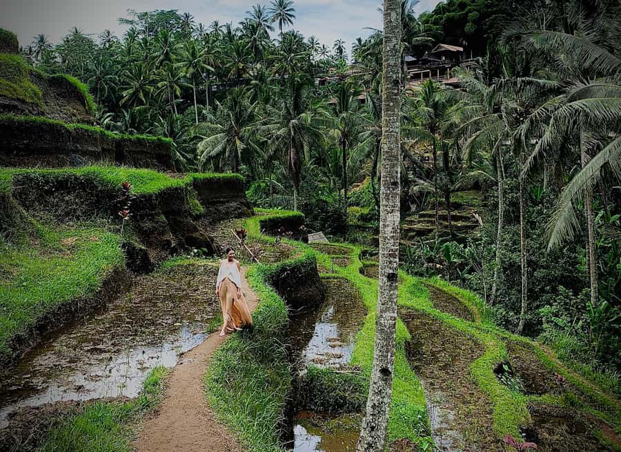 Ubud: Rice Terrace, Holy Water Temple & Waterfalls Trek Tour - Add-ons worth considering, and those to question