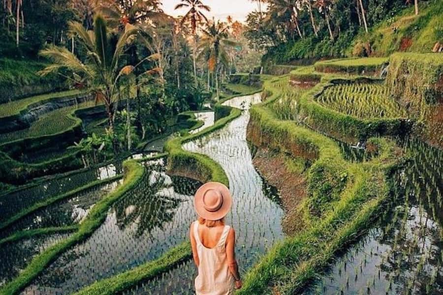 Ubud: Rice Terrace, Waterfall, & Elephant Cave - Goa Gajah puts Bali’s symbols in context
