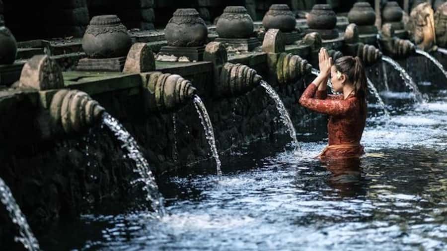 Ubud: Rice Terrace, Waterfall, & Elephant Cave - Tegallalang closes the day with rice terraces