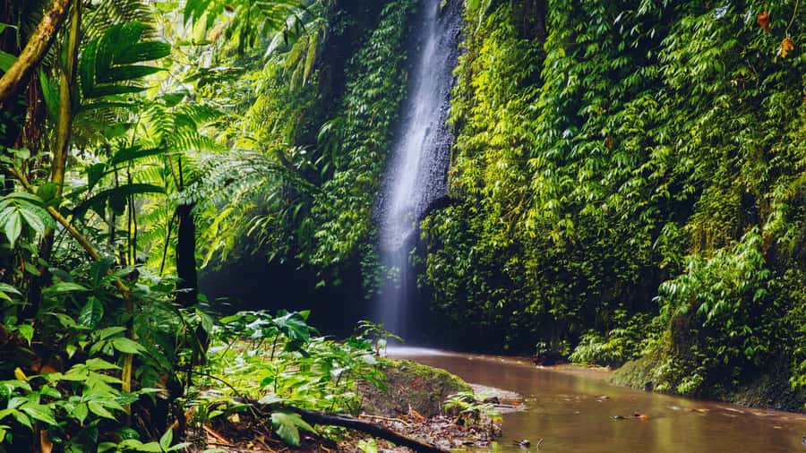 Ubud: Spectacular Waterfalls Tour - Gunung Kawi Sebatu: a calmer side of Bali