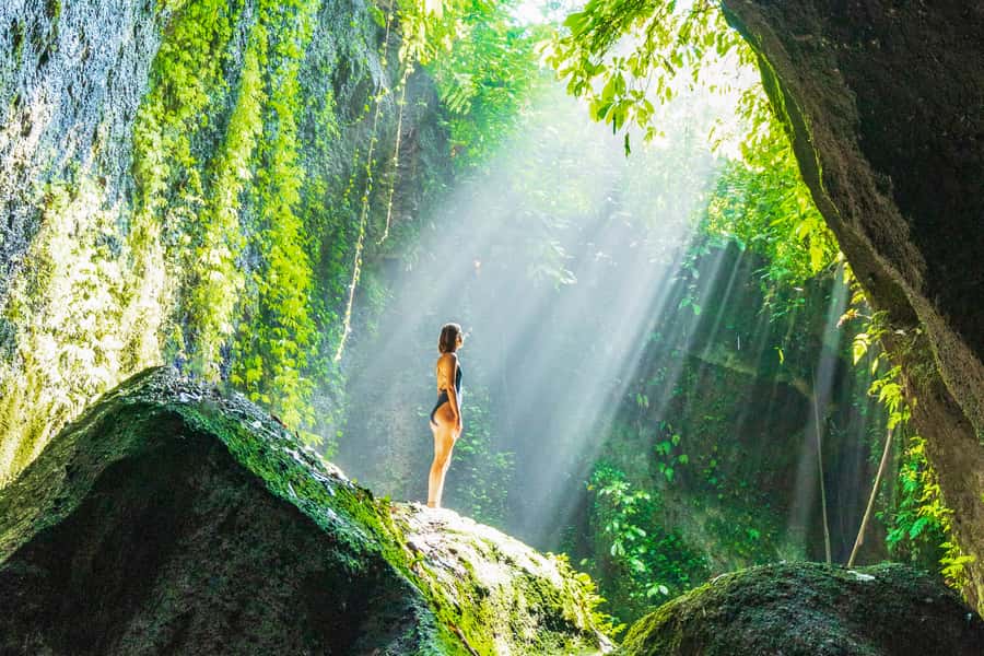 Ubud: Spectacular Waterfalls Tour - Tegalalang Rice Terrace: Bali’s classic green view