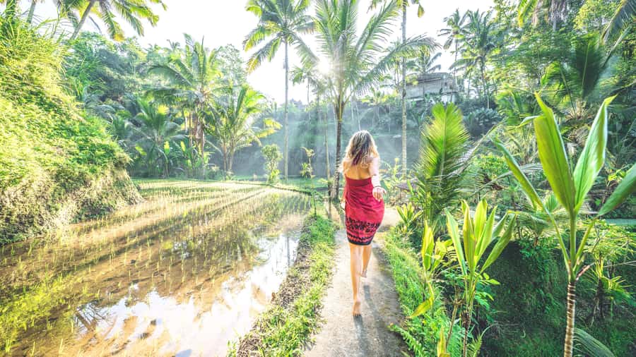 Ubud: Spectacular Waterfalls Tour - Is $27 good value?