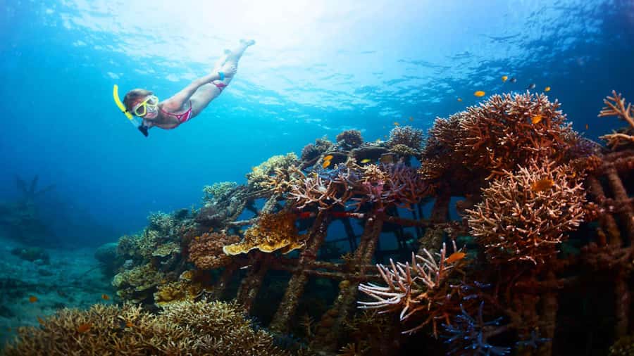 Ubud: Tegenungan Waterfall, Snorkeling, and Canyoning Tour - What makes this Bali day trip worth considering