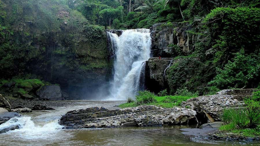Ubud: Tegenungan Waterfall, Snorkeling, and Canyoning Tour - Transport, timing, and the value of a flexible driver