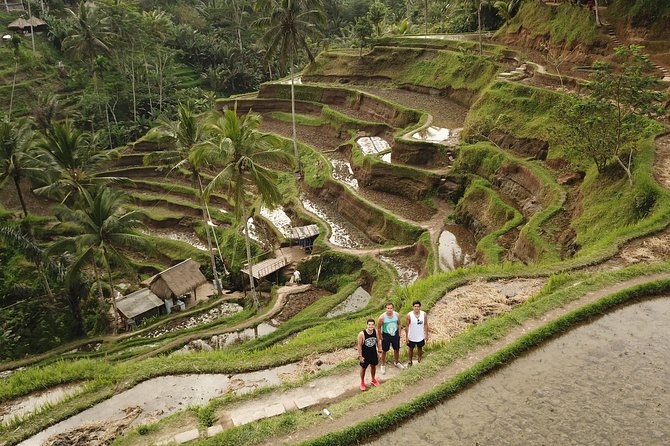 Ubud Top Attractions: Waterfalls, Temples and Rice Terraces - d’Alas Swing supplies the big photo moment