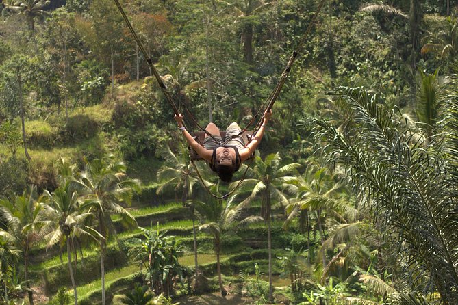 Ubud Top Attractions: Waterfalls, Temples and Rice Terraces - Tegalalang Rice Terrace shows working Bali
