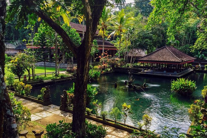 Ubud Top Attractions: Waterfalls, Temples and Rice Terraces - Your driver is central to the experience